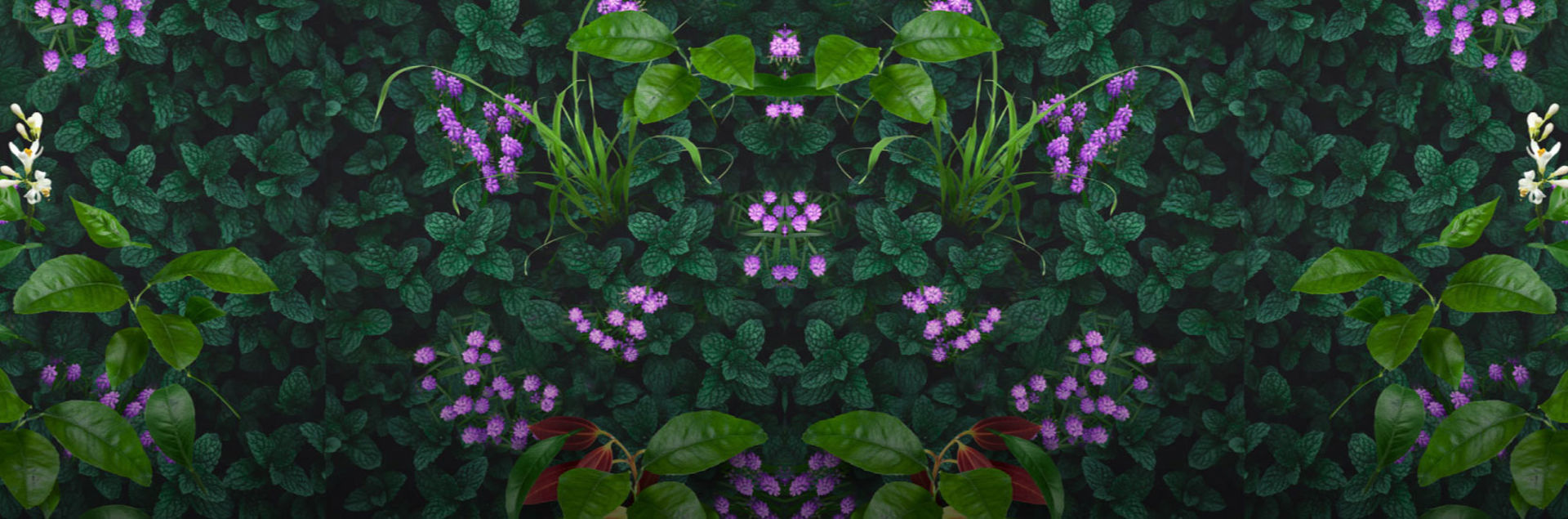 AMOL – wszechstronny lek na różne przygody